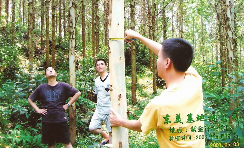 ����鿴�����������Ƭ�Ŵ�ͼƬ