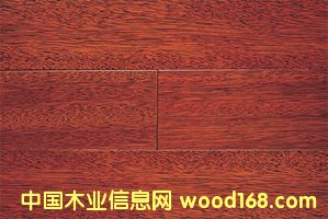 鿴ʵľذ岤ܸŴͼƬ