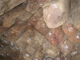 ����鿴����֦ľ�Ŵ�ͼƬ