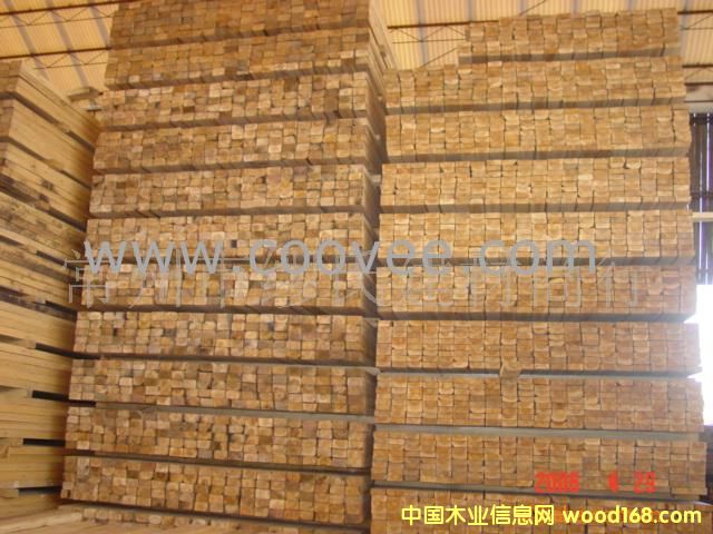 ����鿴��ľ���Ŵ�ͼƬ