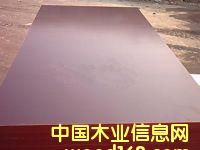 ����鿴brown film face plywood�Ŵ�ͼƬ