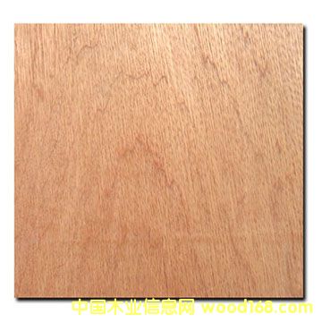 ����鿴Bintangor plywood�Ŵ�ͼƬ