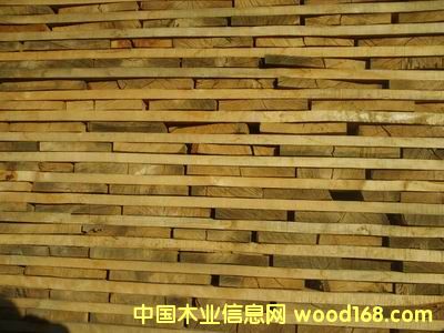 ��ľ����ϸ����