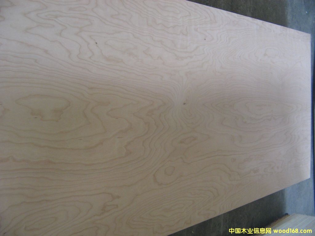 ����鿴�����Ŵ�ͼƬ