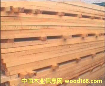 ����鿴���ɸ�����ķŴ�ͼƬ