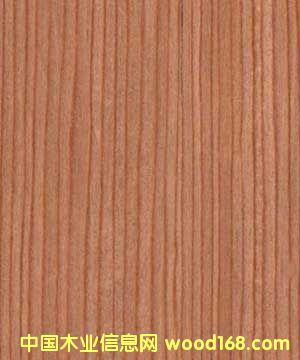 ����鿴ӣ��1801�Ƽ�ľƤ�Ŵ�ͼƬ