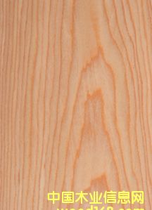 ����鿴ӣ��1801c�Ƽ�ľƤ�Ŵ�ͼƬ