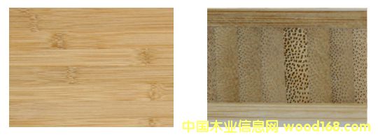 ����鿴�񼯳ɲķŴ�ͼƬ