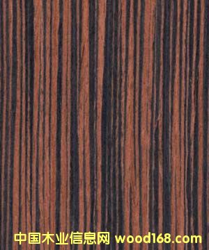 ����鿴��̴1605�Ƽ�ľƤ�Ŵ�ͼƬ