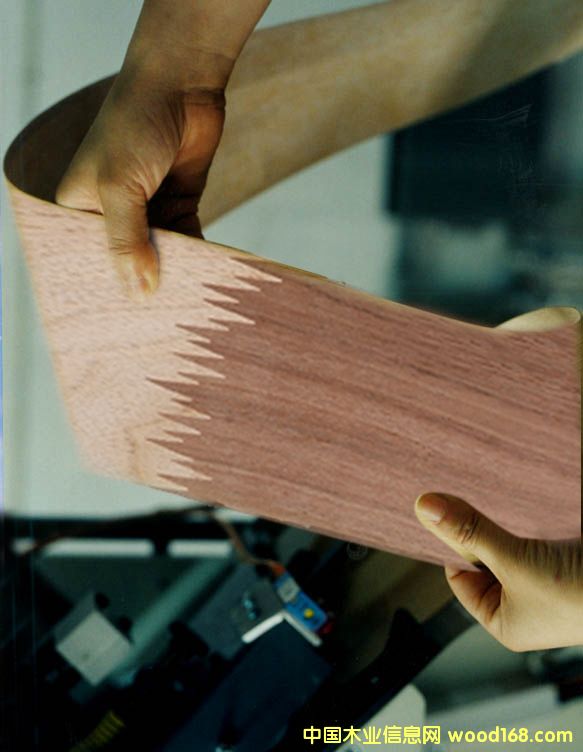 ����鿴ָ��ľƤ�Ŵ�ͼƬ