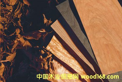 ����鿴��ȻľƤ�Ŵ�ͼƬ