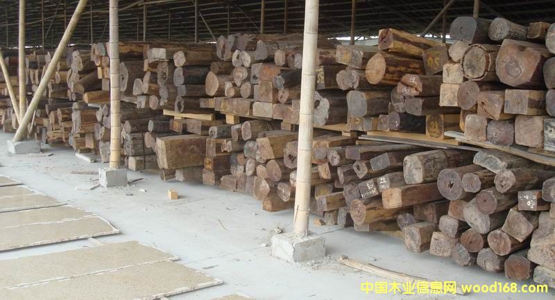 ����鿴�����֦ľ�Ŵ�ͼƬ