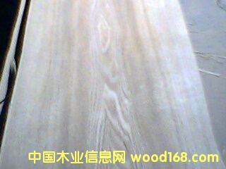 ����鿴0.5MM�������ƷŴ�ͼƬ