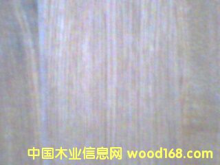 ����鿴0.5MM��ľֱ�ƷŴ�ͼƬ