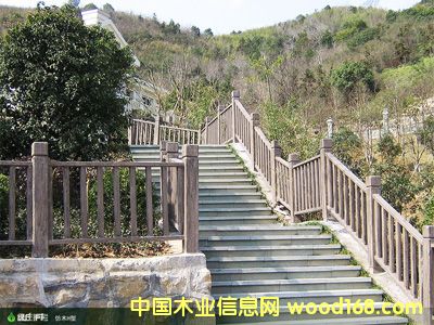 ����鿴������ľ�����Ŵ�ͼƬ