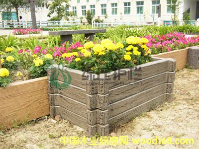 ����鿴��ľ����Ŵ�ͼƬ