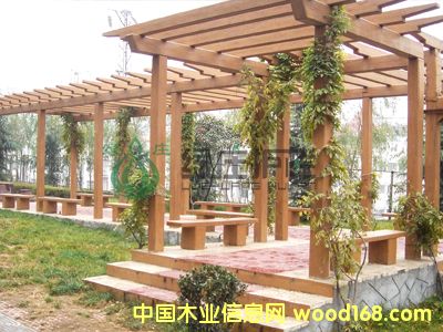 ����鿴��ľ���ܷŴ�ͼƬ