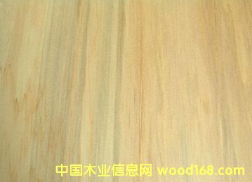 ����鿴����ɼ�Ŵ�ͼƬ