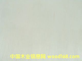 ����鿴��ľ���ϰ�Ŵ�ͼƬ