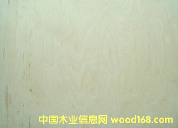 ����鿴��ľ���ϰ�Ŵ�ͼƬ