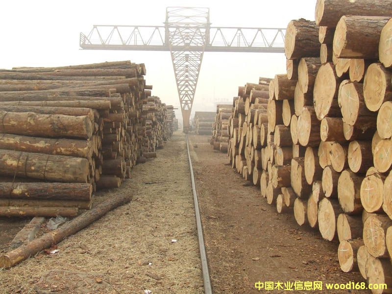 ����鿴ľ�ķŴ�ͼƬ