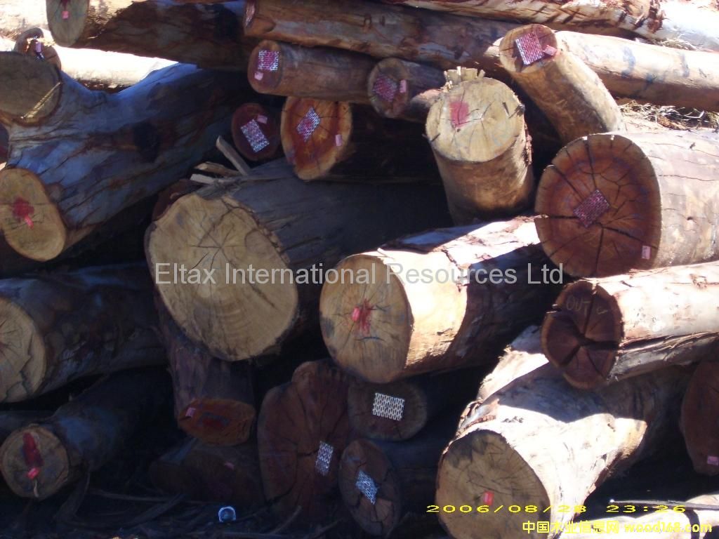 ����鿴ľ�ķŴ�ͼƬ