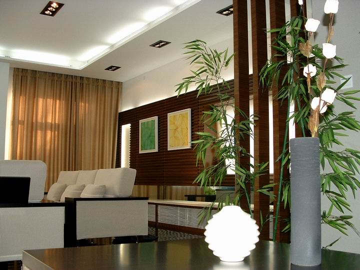 ����Ч������ϸ����