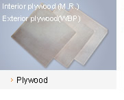 ����鿴plywood�Ŵ�ͼƬ