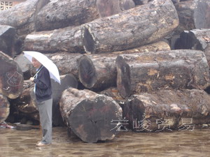 ����鿴����˿�ľ�Ŵ�ͼƬ