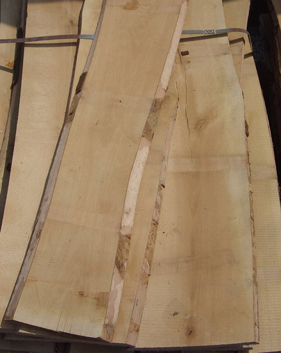 ����鿴ŷ���ľ��ķŴ�ͼƬ