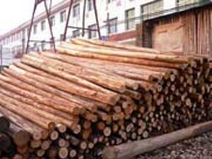 ����鿴ɼľ�Ŵ�ͼƬ