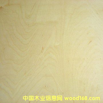 ����鿴������о���ϰ�Ŵ�ͼƬ