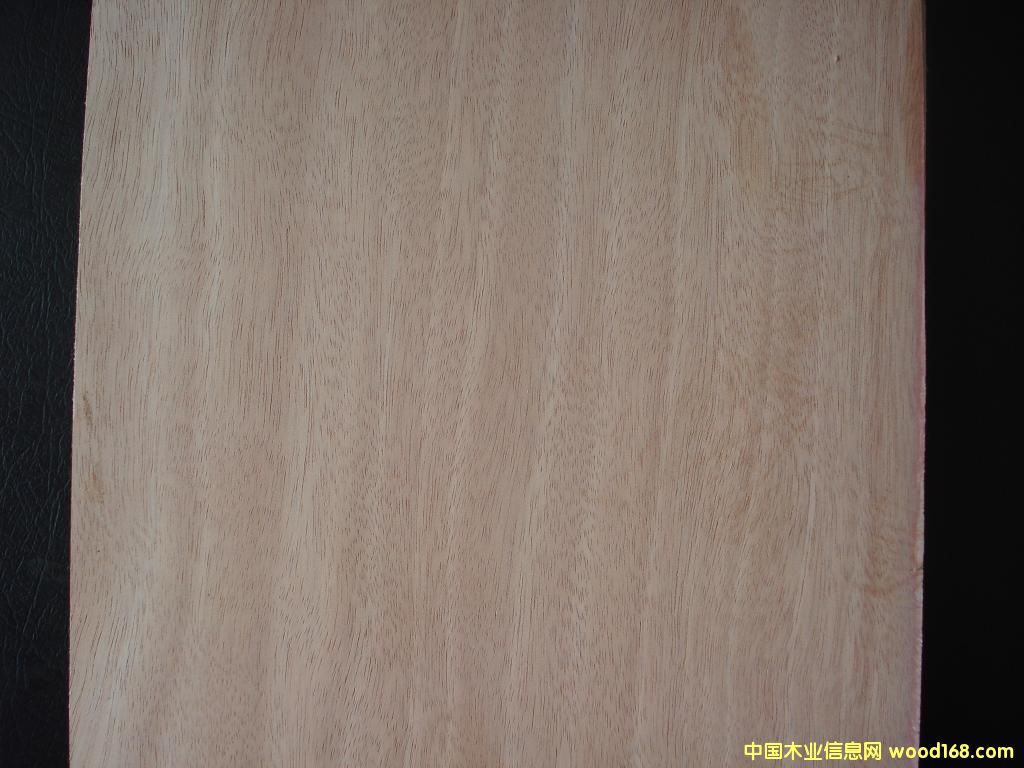 ����鿴������о����Ŵ�ͼƬ