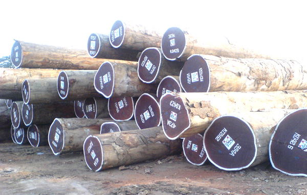 ����鿴WENGE(�󼦳�)�Ŵ�ͼƬ