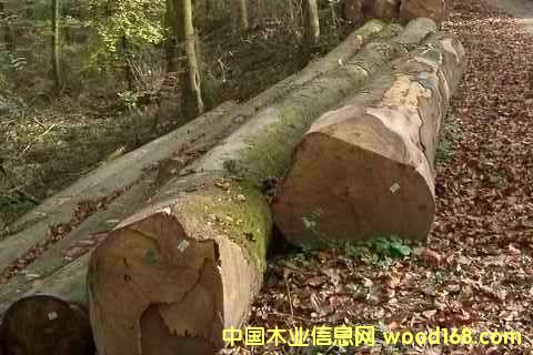 ����鿴�ľͼƬ12�Ŵ�ͼƬ
