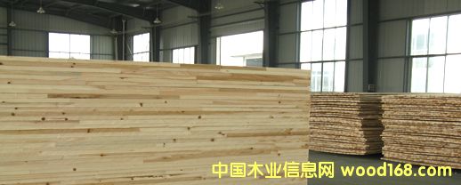 �ù�������ɼľָ�Ӱ����ϸ����