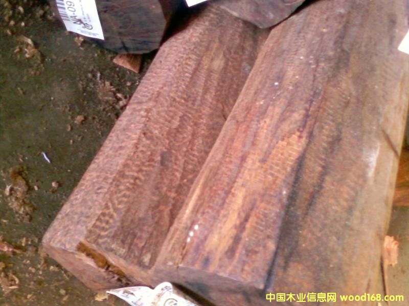 蛇纹木的详细介绍