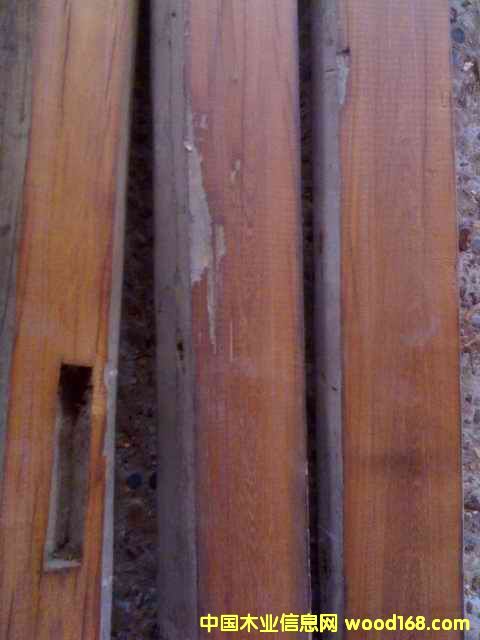 ����鿴���Ϻ�ľ�Ŵ�ͼƬ