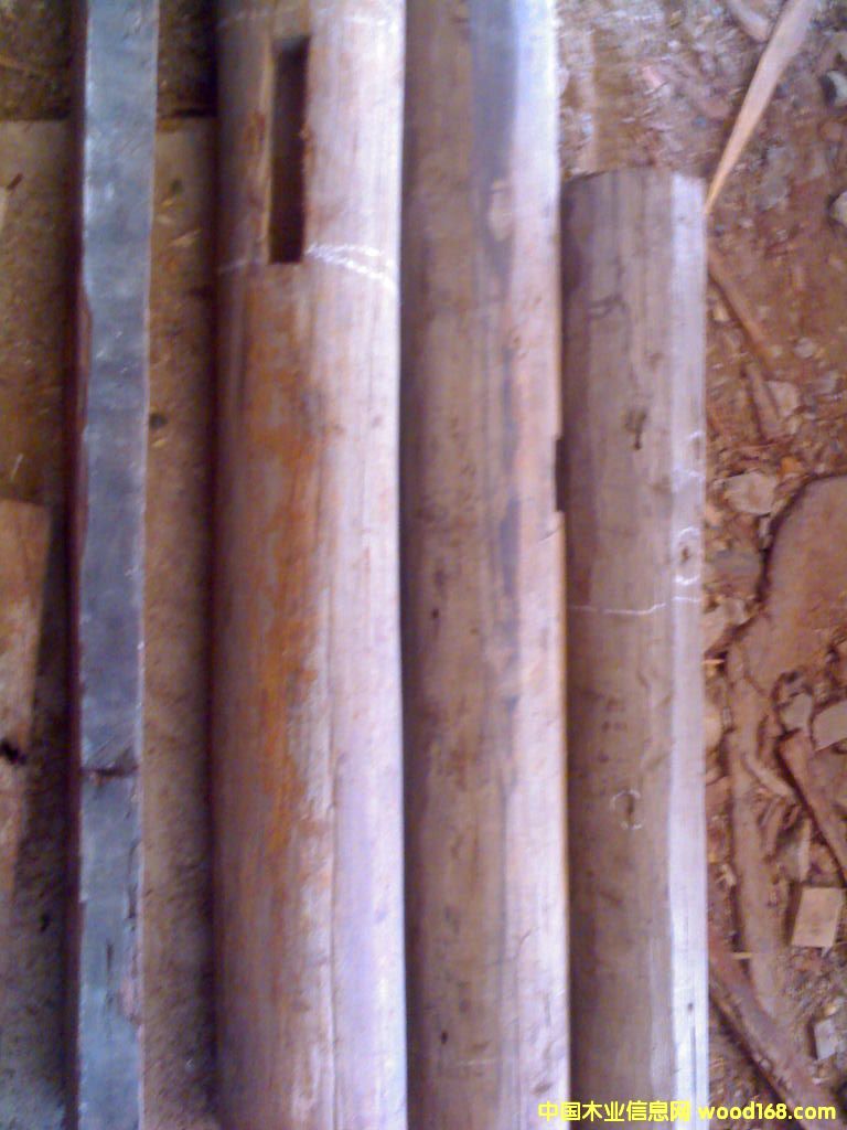 ����鿴��ľ�Ŵ�ͼƬ