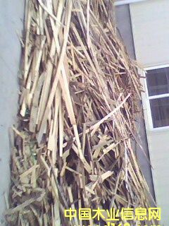 ľмľľмľƤľƬϸ