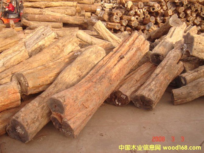 ����鿴���Ǻڻ�̴�Ŵ�ͼƬ