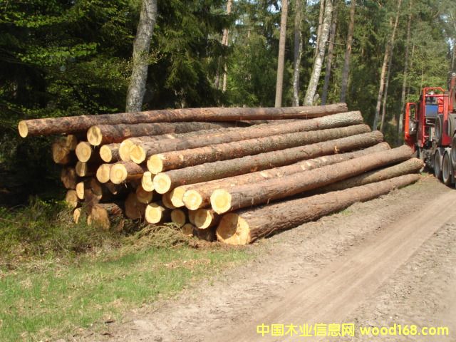 ����鿴ŷ����ɼ�Ŵ�ͼƬ