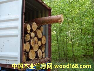 ����鿴ŷ����ľ�Ŵ�ͼƬ