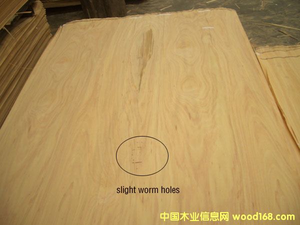 单板的详细介绍