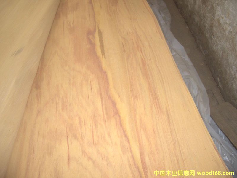 山桂花单板的详细介绍