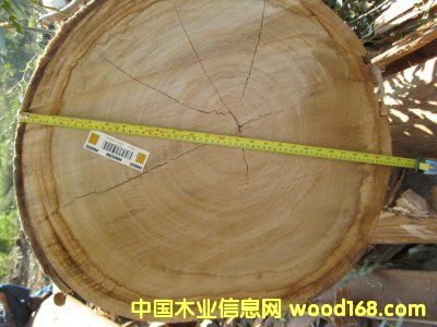 ����鿴��������Ŵ�ͼƬ