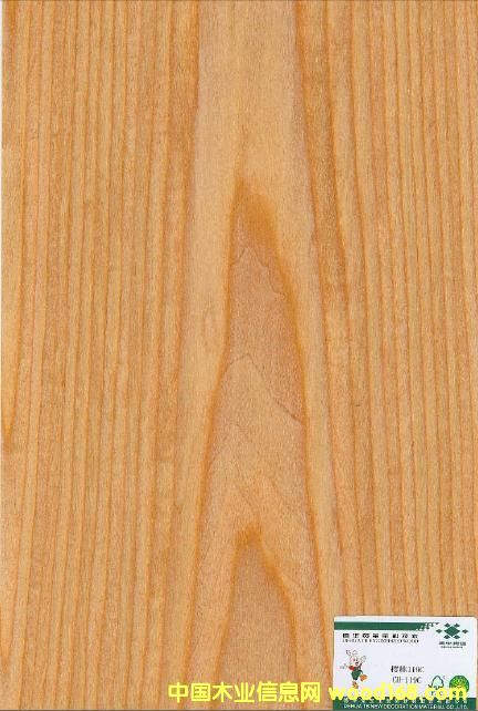 ����鿴ӣ��CH-119C�Ŵ�ͼƬ