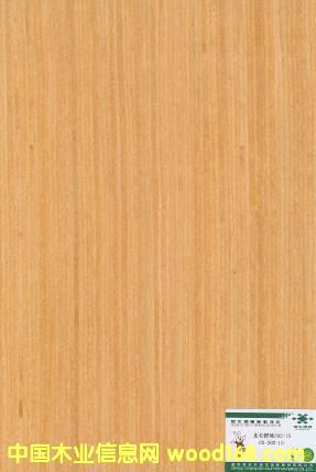 ����鿴ӣ��CH-302-1S�Ŵ�ͼƬ