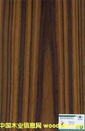 ����鿴��̴PDK-112C�Ŵ�ͼƬ