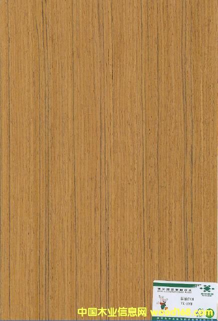 ����鿴̩��TK-EVHS�Ŵ�ͼƬ